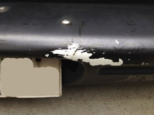 IMG_16891-1024x768[1]