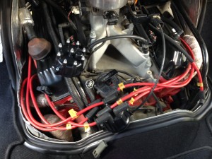 ﾗﾑﾊﾞﾝ（90） (5)