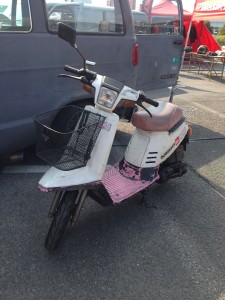 所さんの世田谷ベース アメリカン・ピクニックデイ (30)