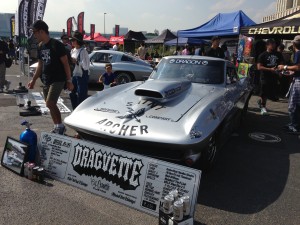 所さんの世田谷ベース アメリカン・ピクニックデイ (17)