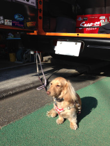 ﾗﾑﾊﾞﾝ（96）-(4)